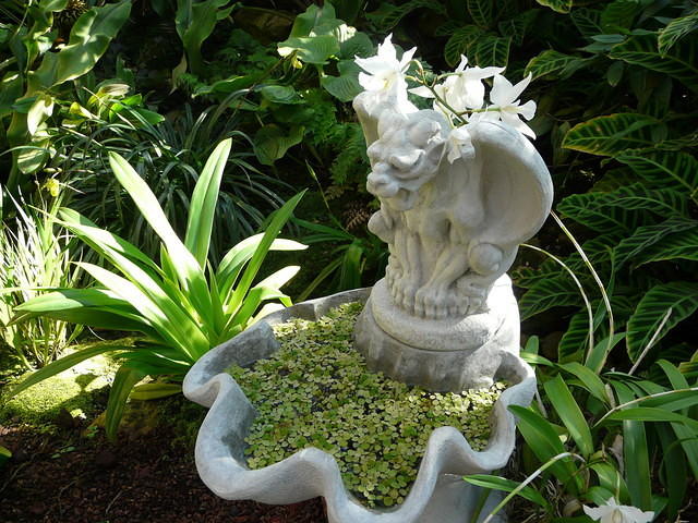 P1000078.JPG