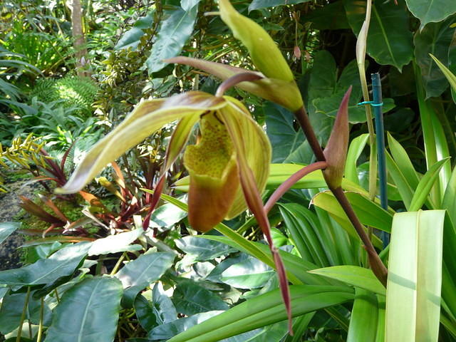 P1000079.JPG