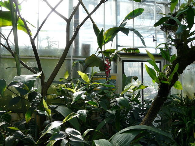 P1000084.JPG