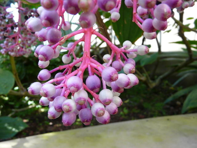 P1000104.JPG