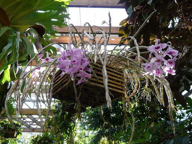 P1000105.JPG