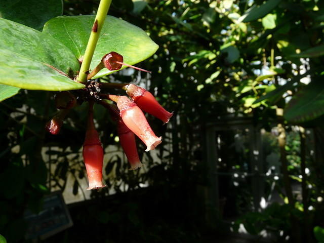 P1000117.JPG