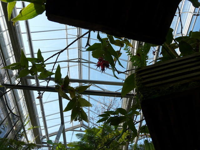 P1000123.JPG