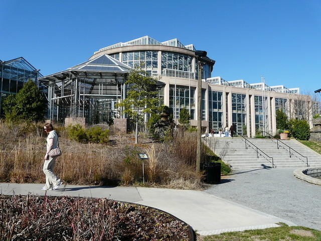 P1000131.JPG