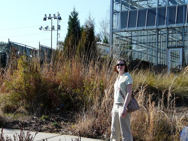 P1000132.JPG