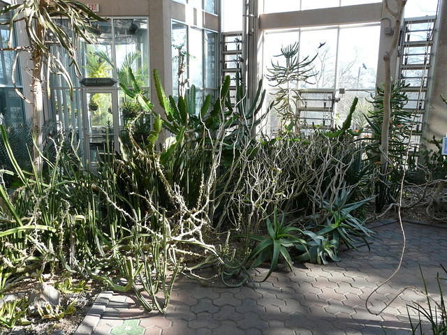 P1000137.JPG