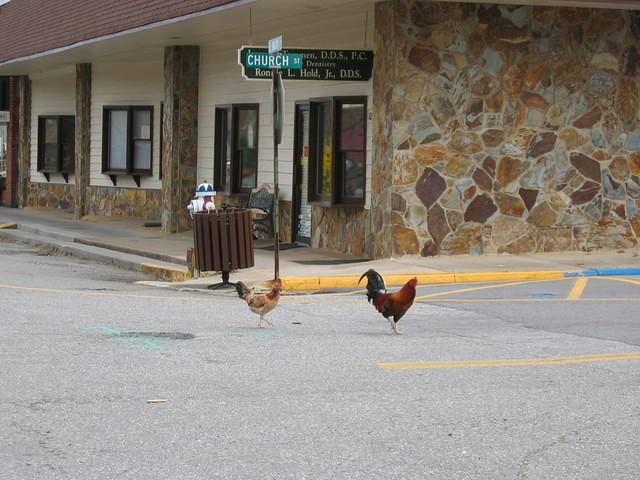 Downtown complete with wandering chickens!