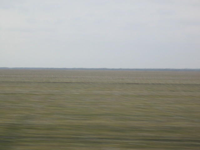 IMG_0030