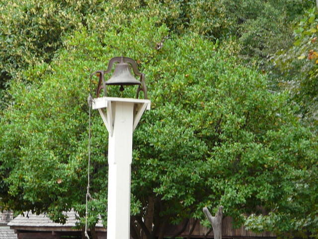 P1010389.JPG
