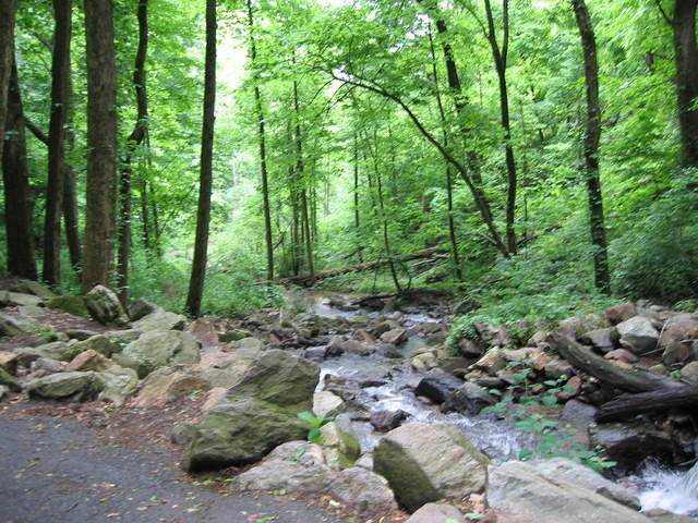IMG_2261.JPG