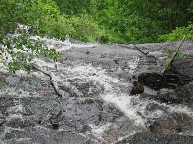 IMG_2270.JPG