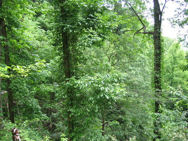 IMG_2271.JPG