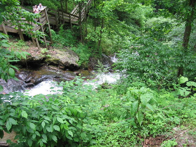 IMG_2273.JPG