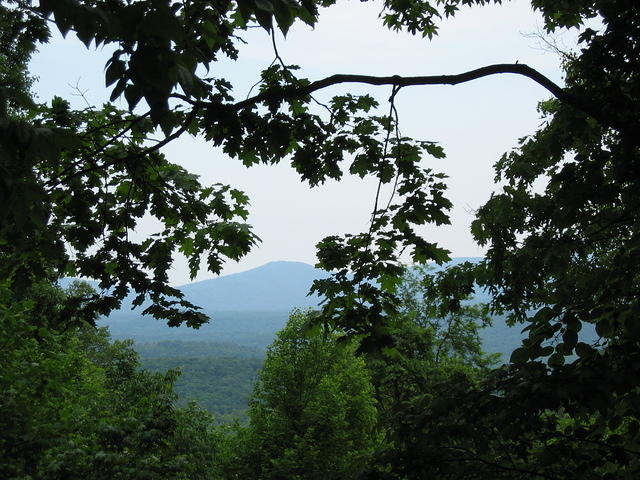 IMG_2281.JPG