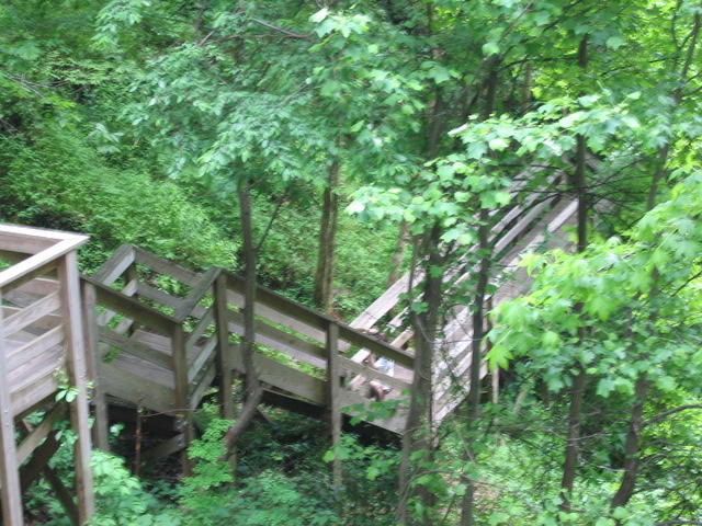IMG_2282.JPG