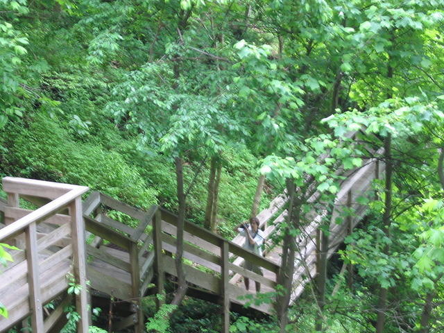 IMG_2283.JPG