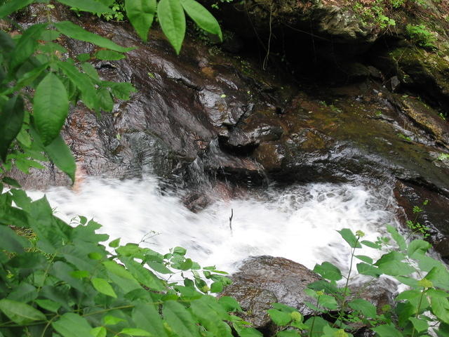 IMG_2284.JPG