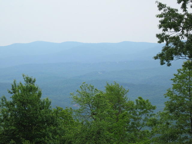 IMG_2287.JPG