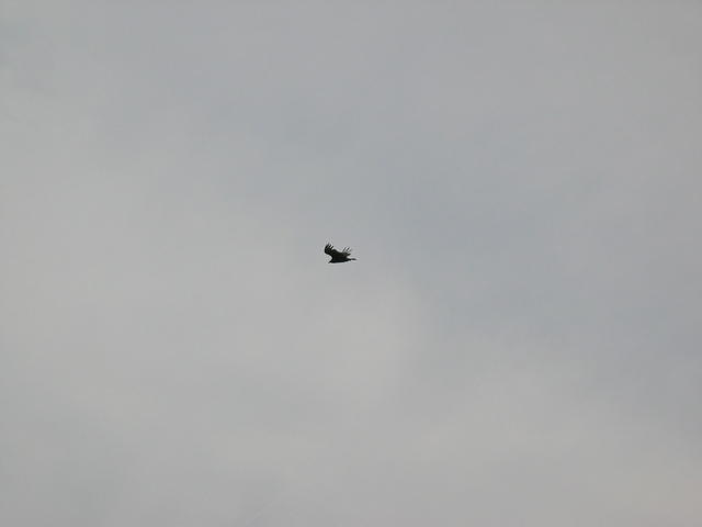 IMG_2289.JPG