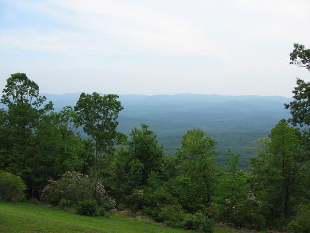 IMG_2290.JPG