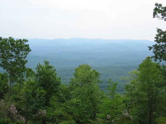 IMG_2291.JPG
