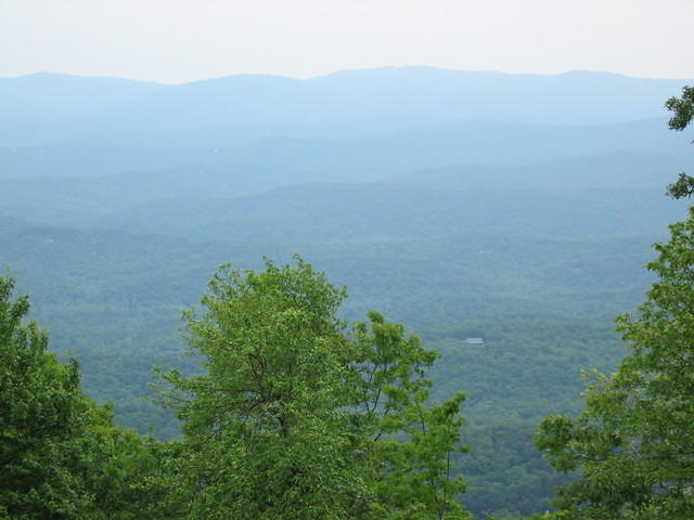IMG_2311.JPG