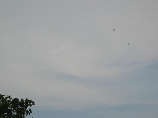 IMG_2314.JPG