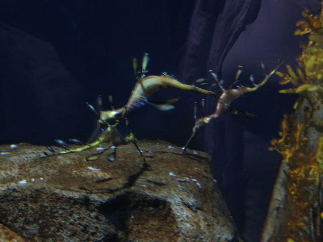 IMG_2234.JPG