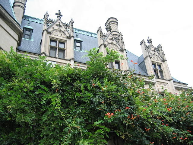 IMG_2731.JPG