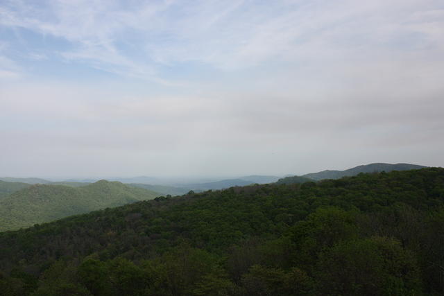 IMG_2397.JPG