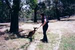 Cleland Wildlife Park (and surrounding Adelaide hills)