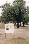 The Blanchetown golf course.  No grass, plenty of bush.  