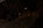 100_0159.jpg