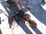 New_Pics_045.jpg