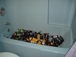 Tub O beer... take 1