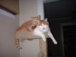 2006_1111MommysLittleQueers.JPG