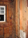 2006_1117OnlyWallWithSlightGrowth.JPG