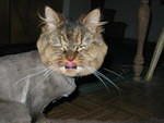 2006_1121WhattaFace.JPG