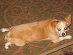 2006_0609_DaisyD