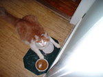 2006_0617_LazyDrinker.jpg