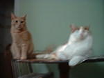 2006_0620_BlurryStetto.jpg