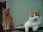 2006_0620_MyBoys.jpg