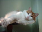 2006_0620_MyHoney.jpg