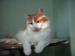 2006_0620_MySweetiePit.jpg