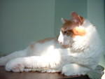 2006_0620_Profile.jpg