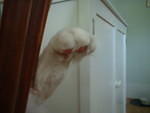2006_0621_SleepyToe.jpg