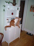 2006_0702BestBuddies.JPG