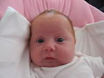 2006_0703Maya.JPG
