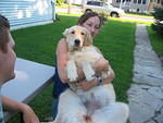 2006_0806TheCaliDog.JPG