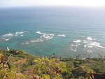 2006_0115_ReefBelow